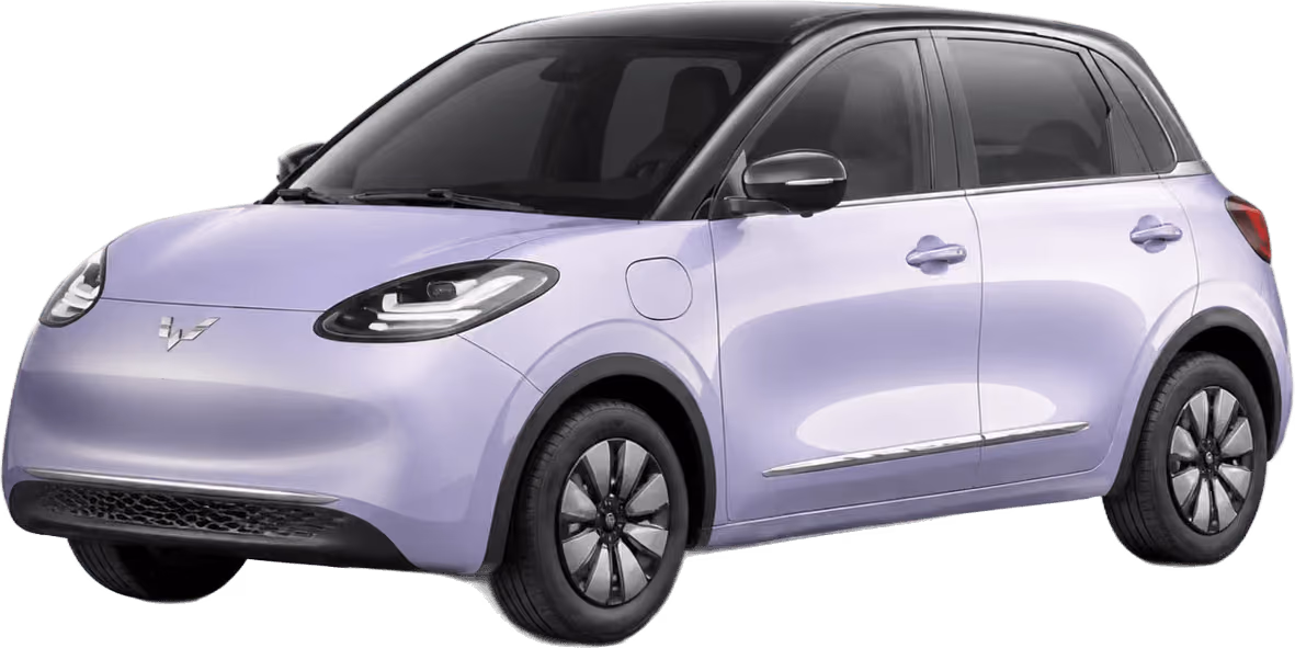 Wuling Bingo