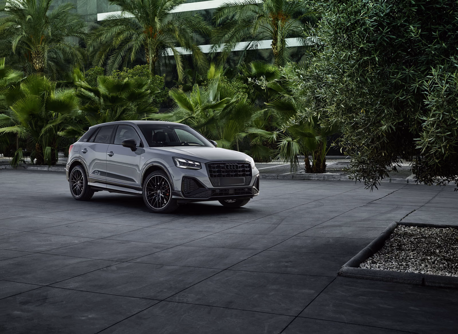 Audi Q2 — у здания среди пальм, вид спереди