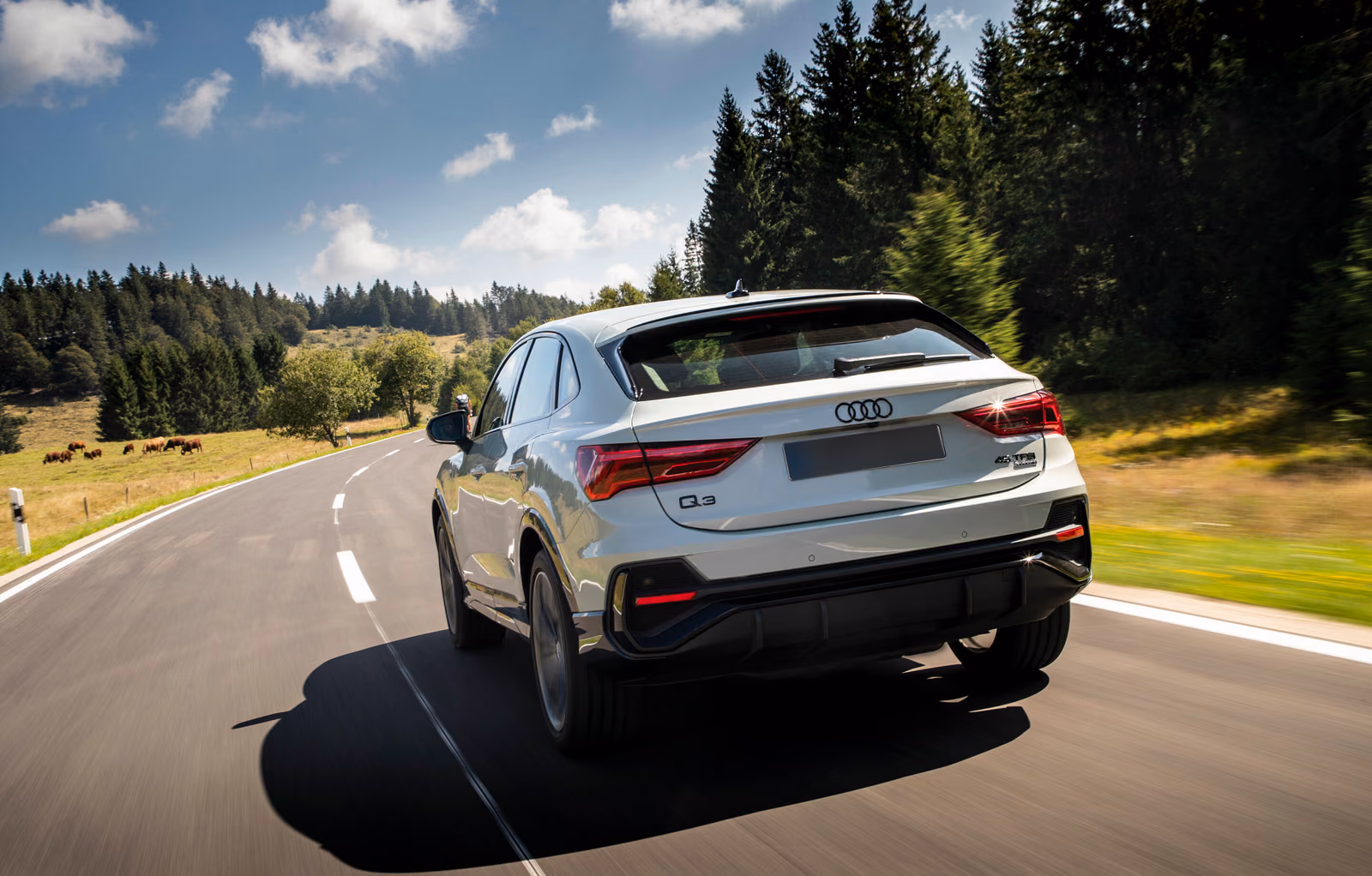 Audi Q3 — вид сзади на дороге среди полей