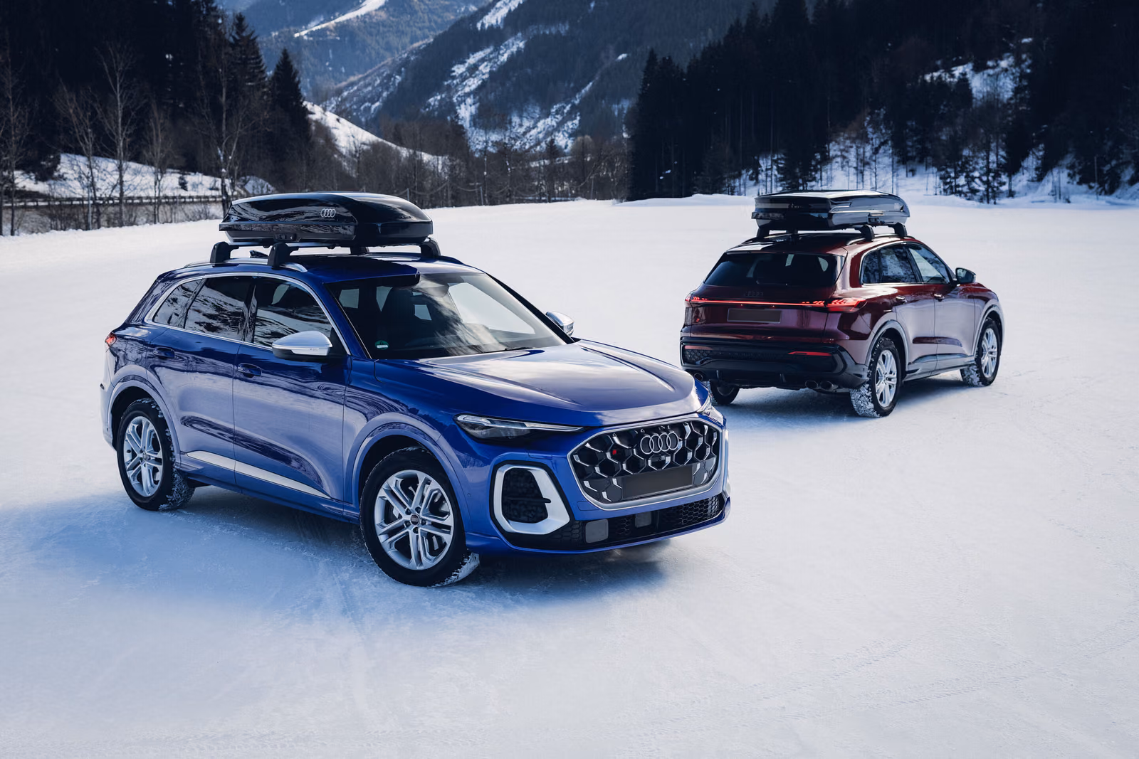 Audi Q5 — синий и красный кроссоверы на снегу