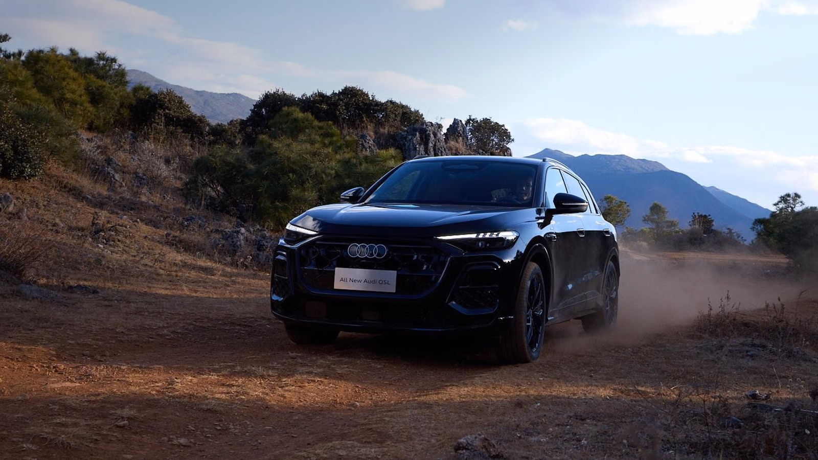 Audi Q5L на грунтовой дороге