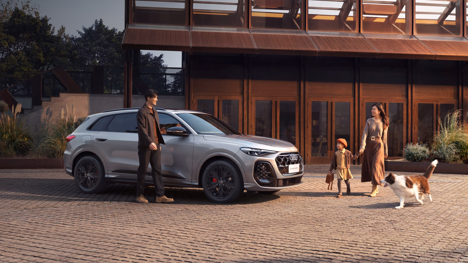 Серебристый Audi Q5L возле дома