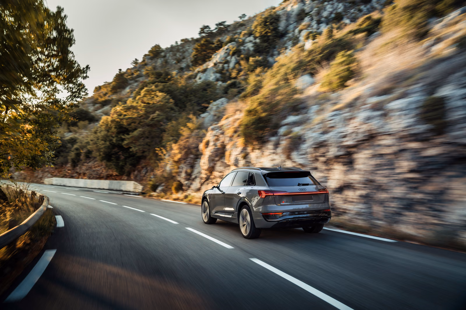Audi Q8 e-tron — на природе