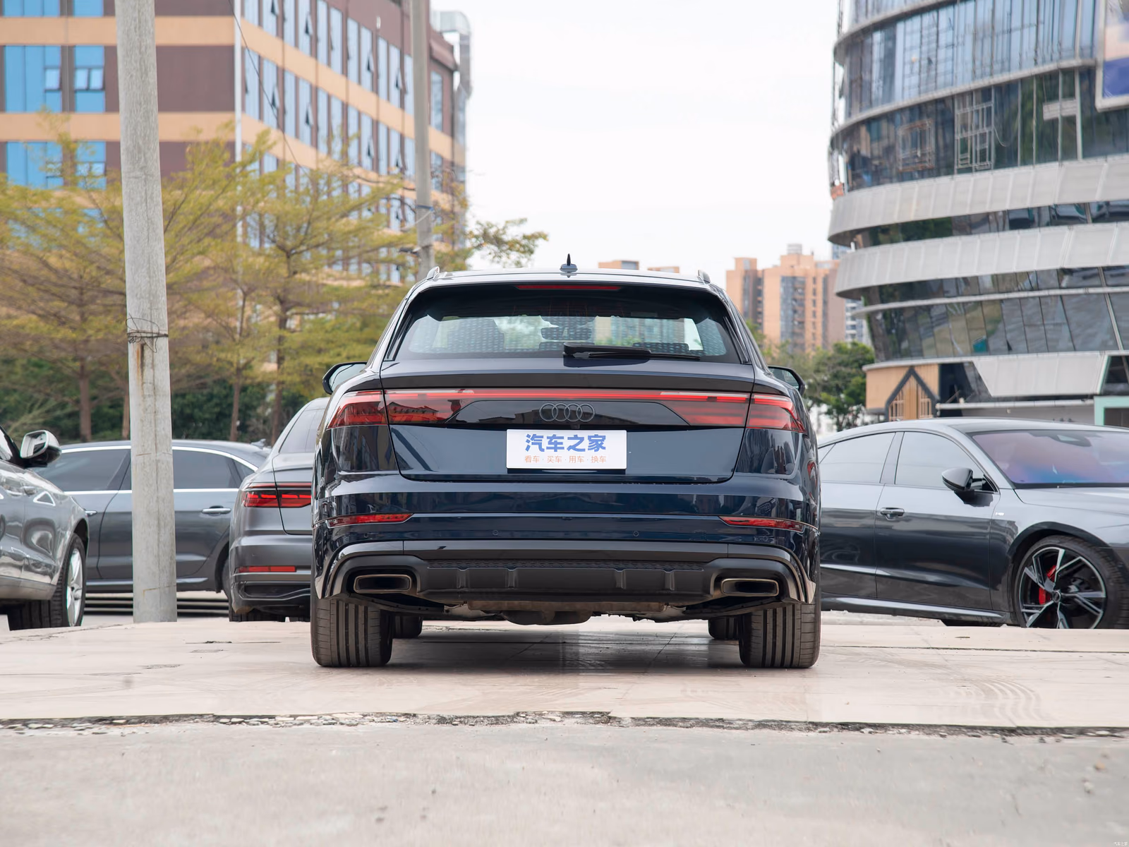 Audi Q8 — вид строго сзади