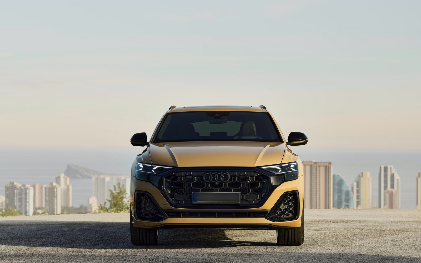 Audi Q8 — кадр 27