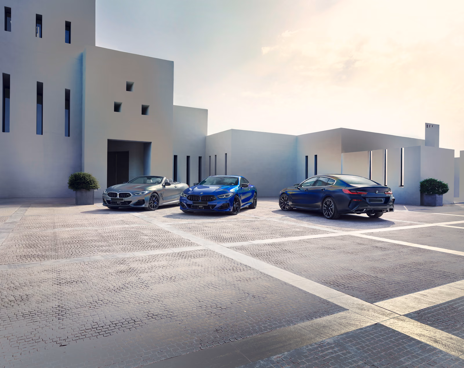 Задний ряд BMW 8 серии Gran Coupe