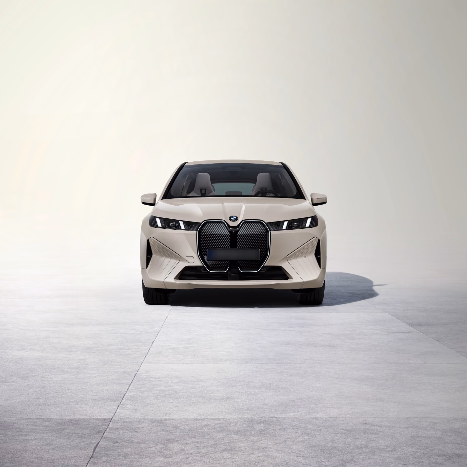 BMW iX xDrive45 — вид строго спереди