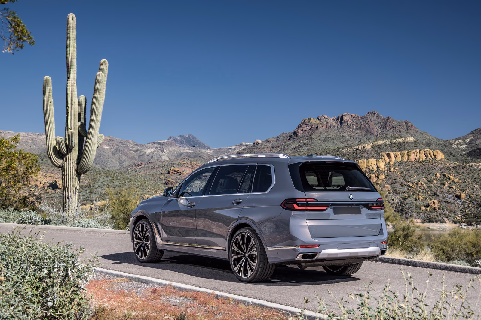 BMW X7 xDrive40i, вид сзади в три четверти