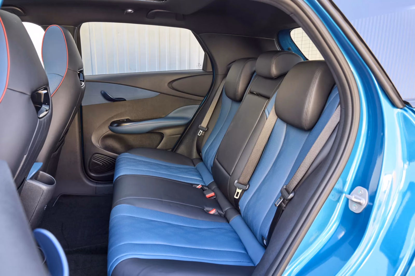 Задний ряд салона BYD Dolphin