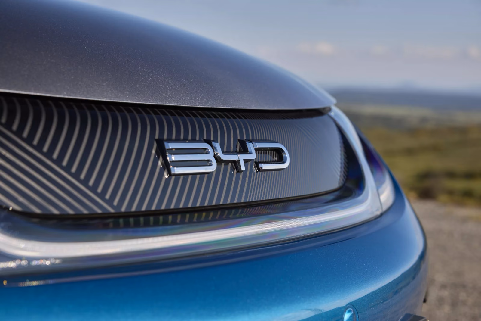 Фирменная эмблема на передней части BYD Dolphin