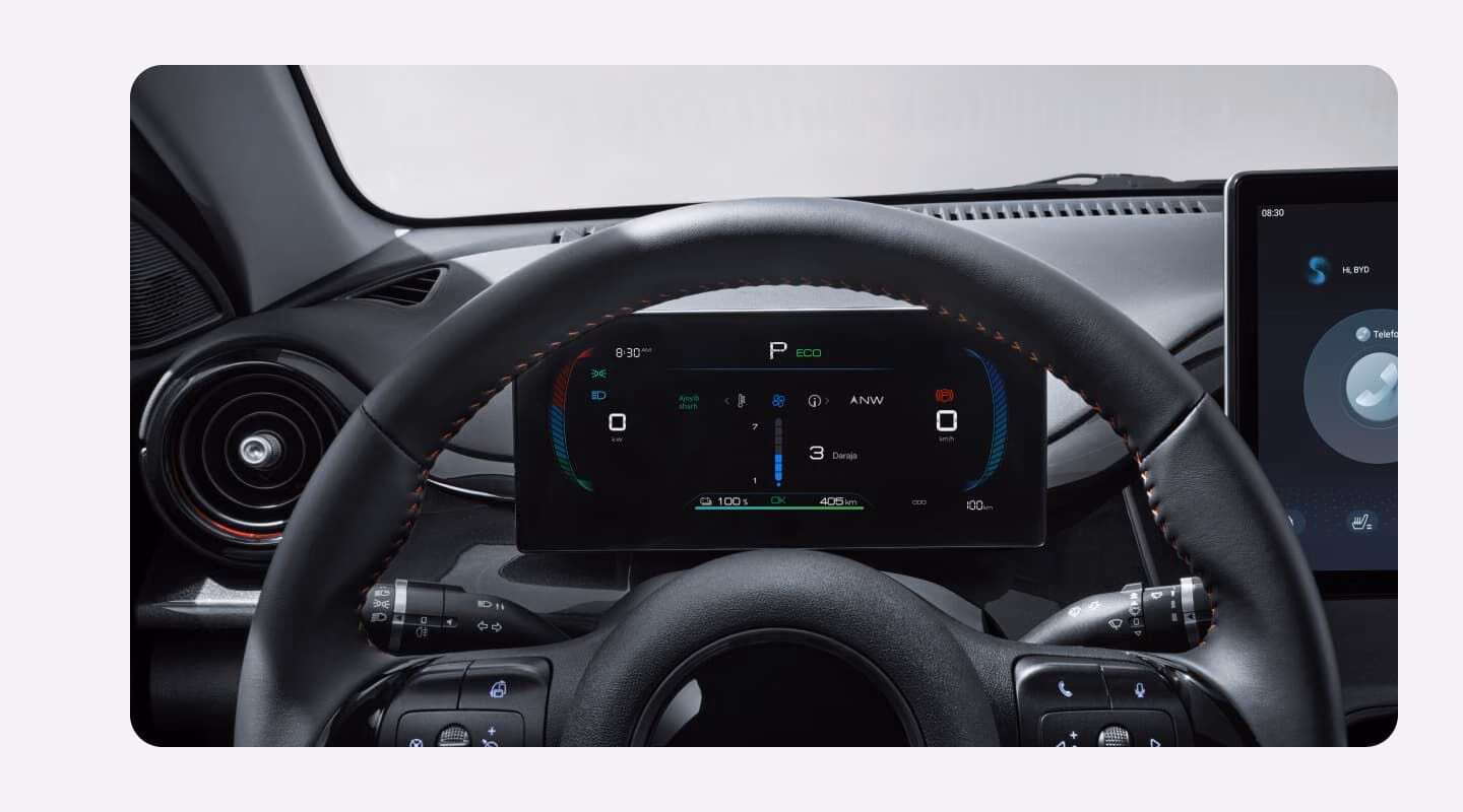Рулевое колесо и цифровая панель BYD e2