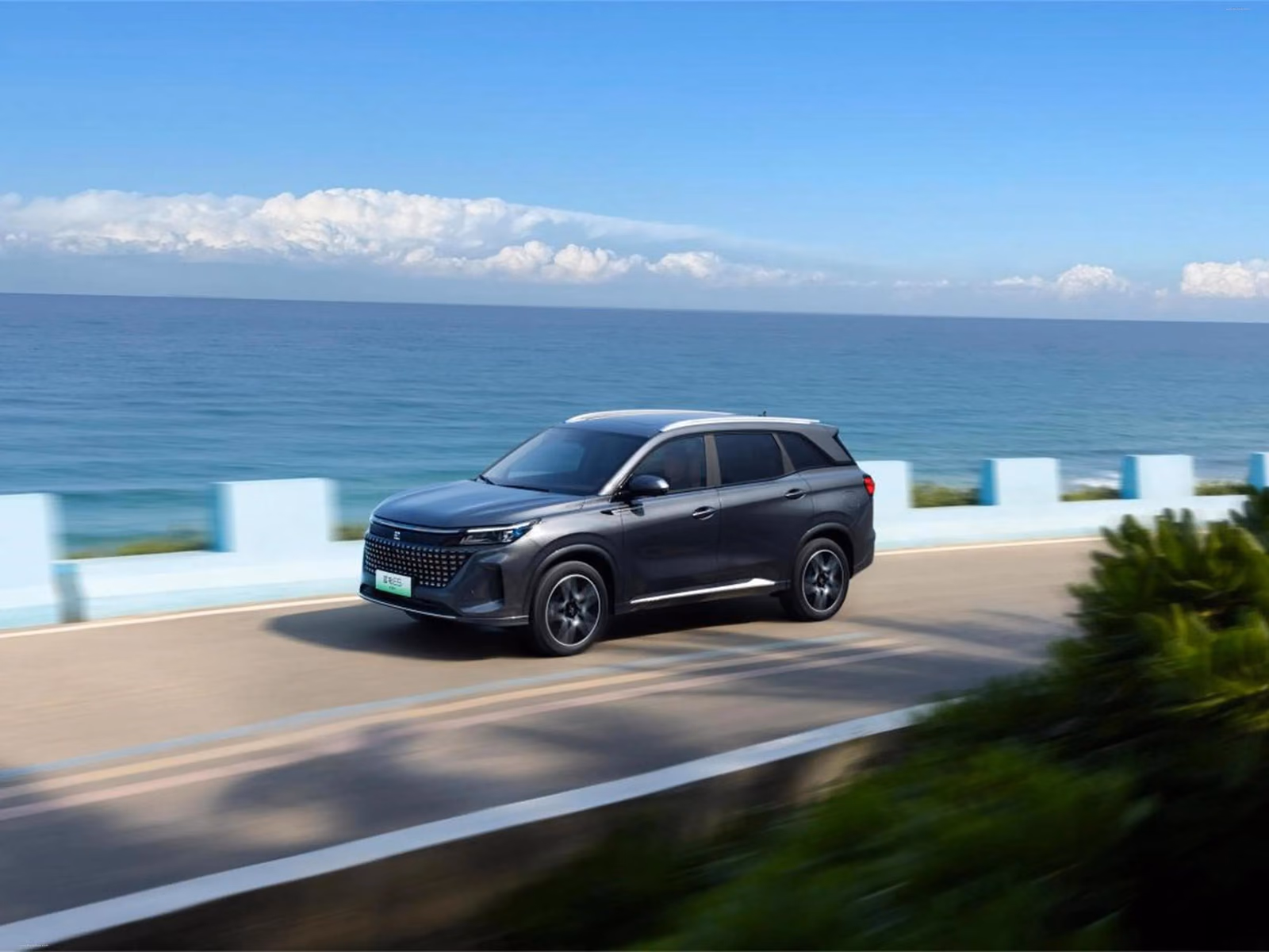 Dongfeng Landian E5 — вид сзади в три четверти