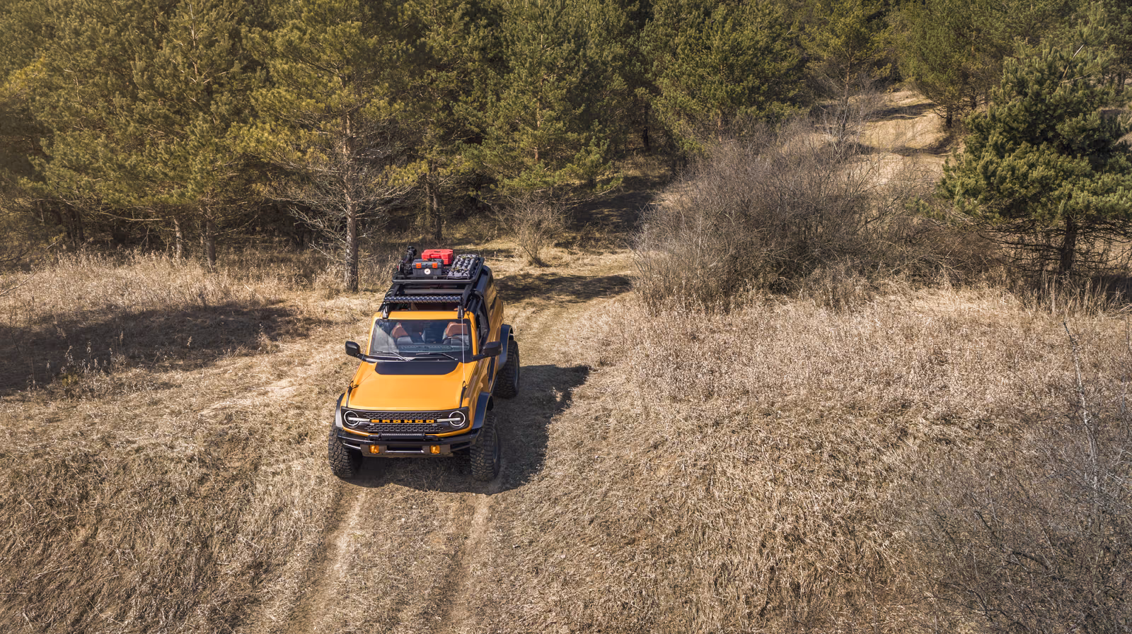 Ford Bronco — крупный план кузова