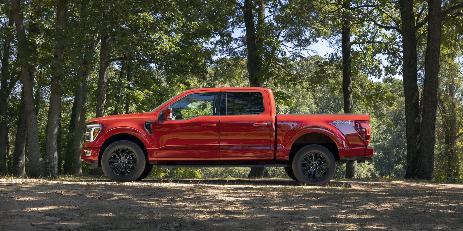 Ford F-150 Lariat в лесу
