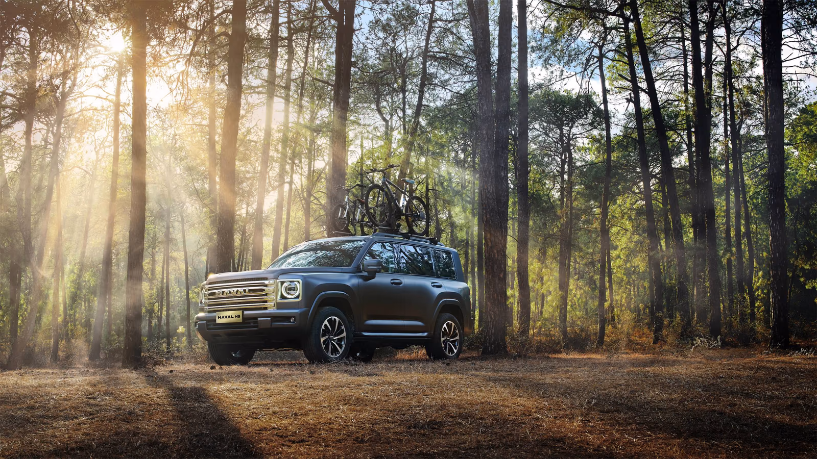 Haval H9 в сосновом лесу