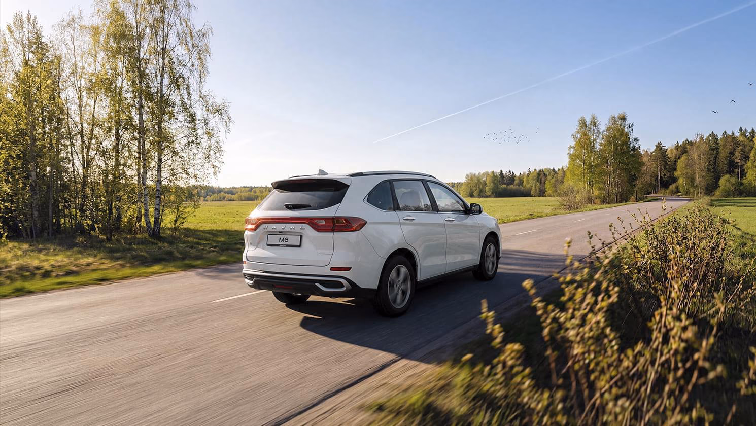 Haval M6 сзади на загородной дороге