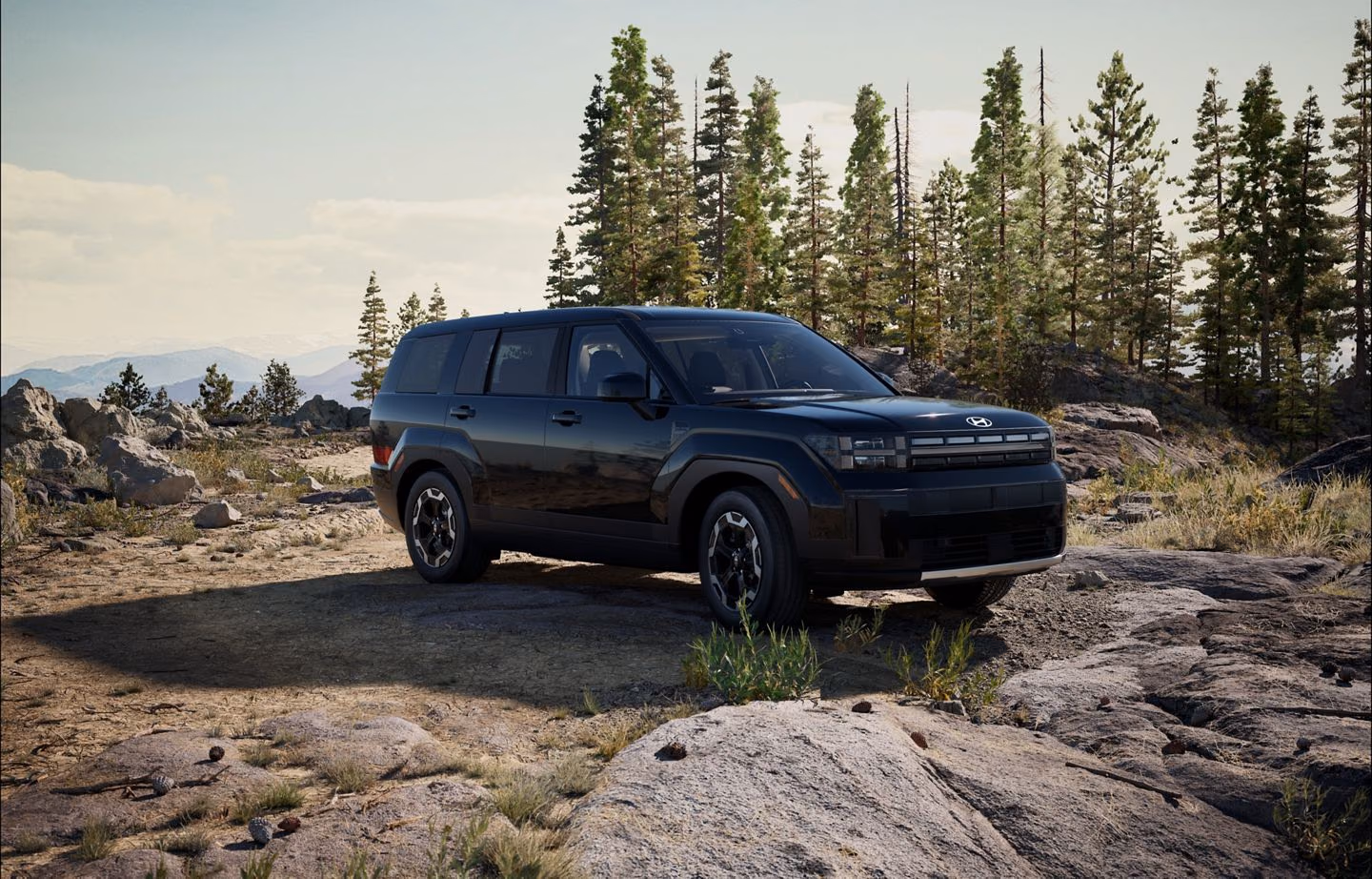 Hyundai Santa Fe на плато, вид сзади