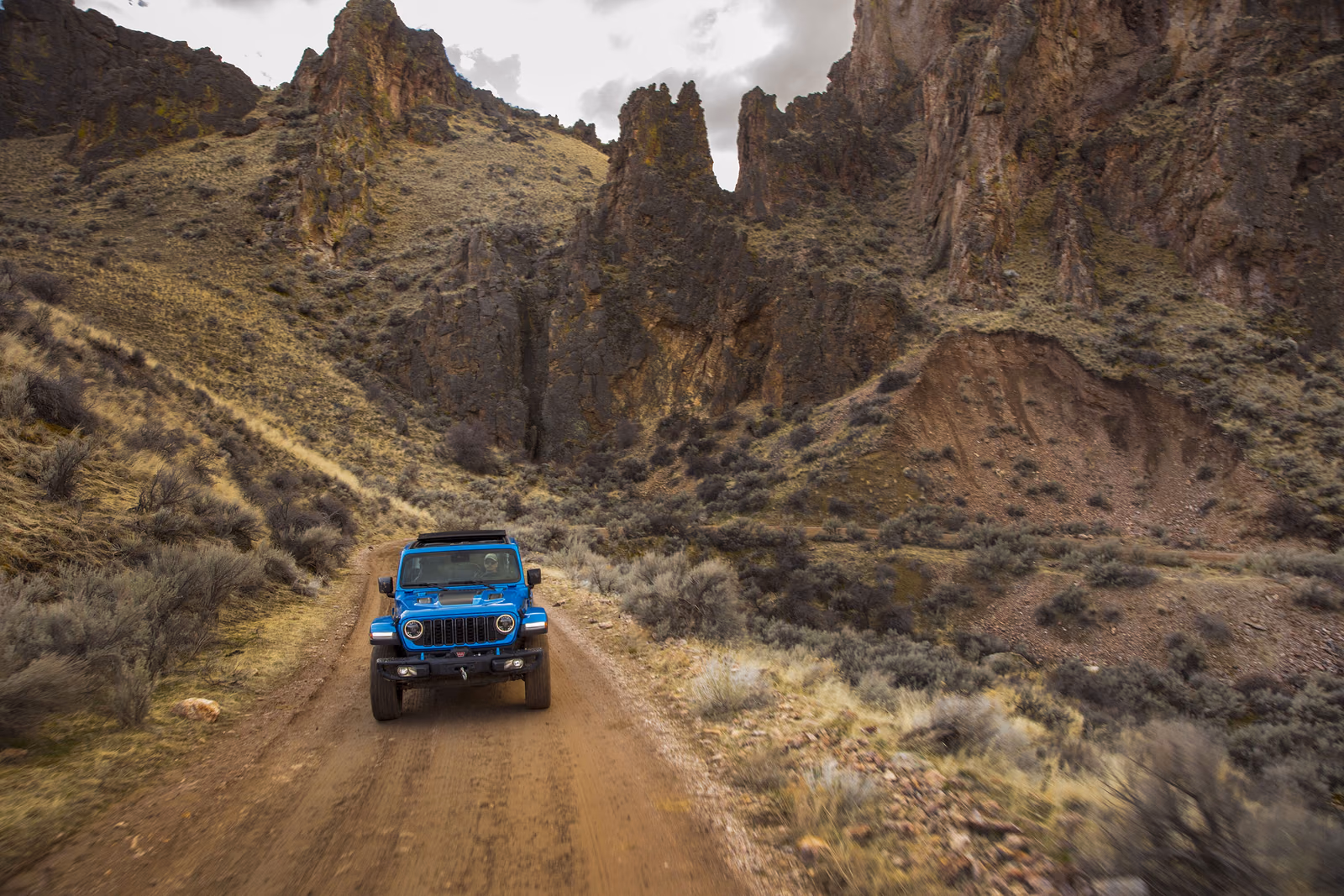 Jeep Wrangler — вид сзади