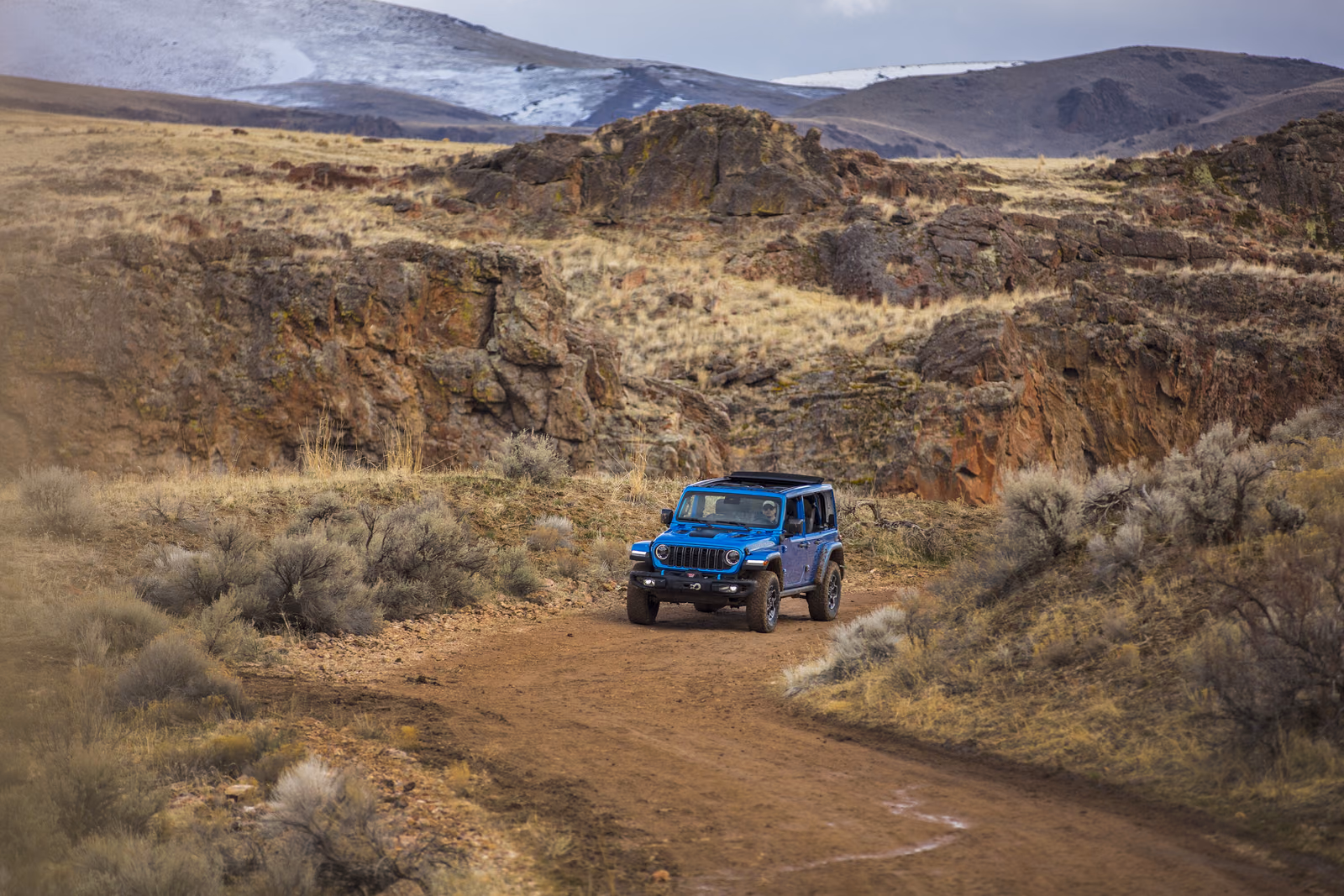 Jeep Wrangler — вид сзади