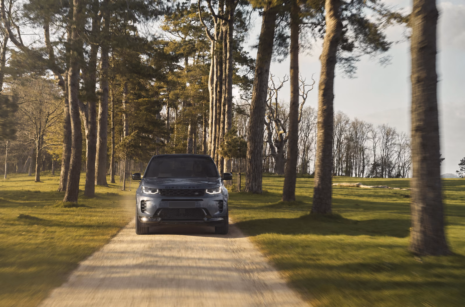 Discovery Sport едет по лесной дороге