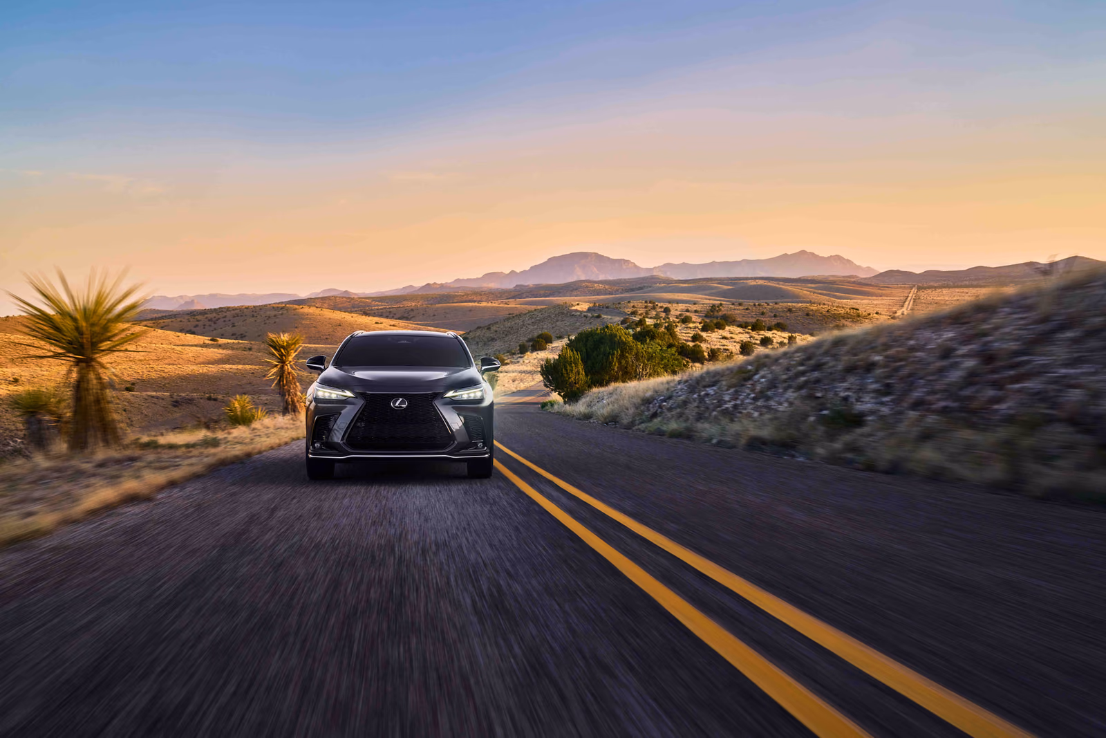 Салон Lexus NX F Sport
