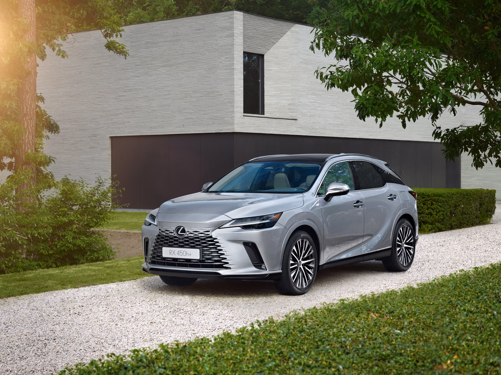 Lexus RX — вид сбоку