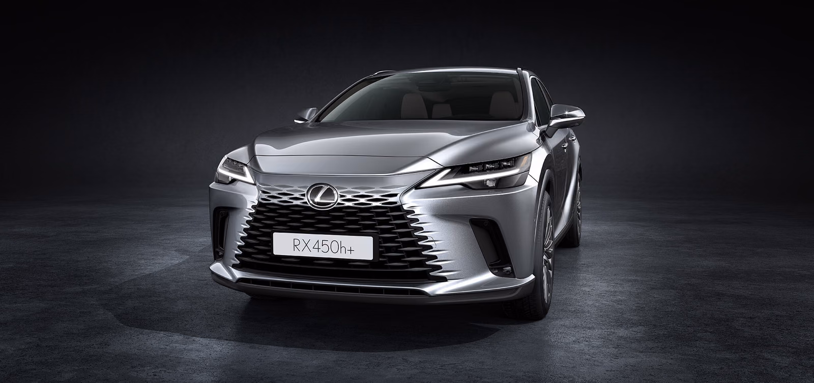 Lexus RX — вид сзади