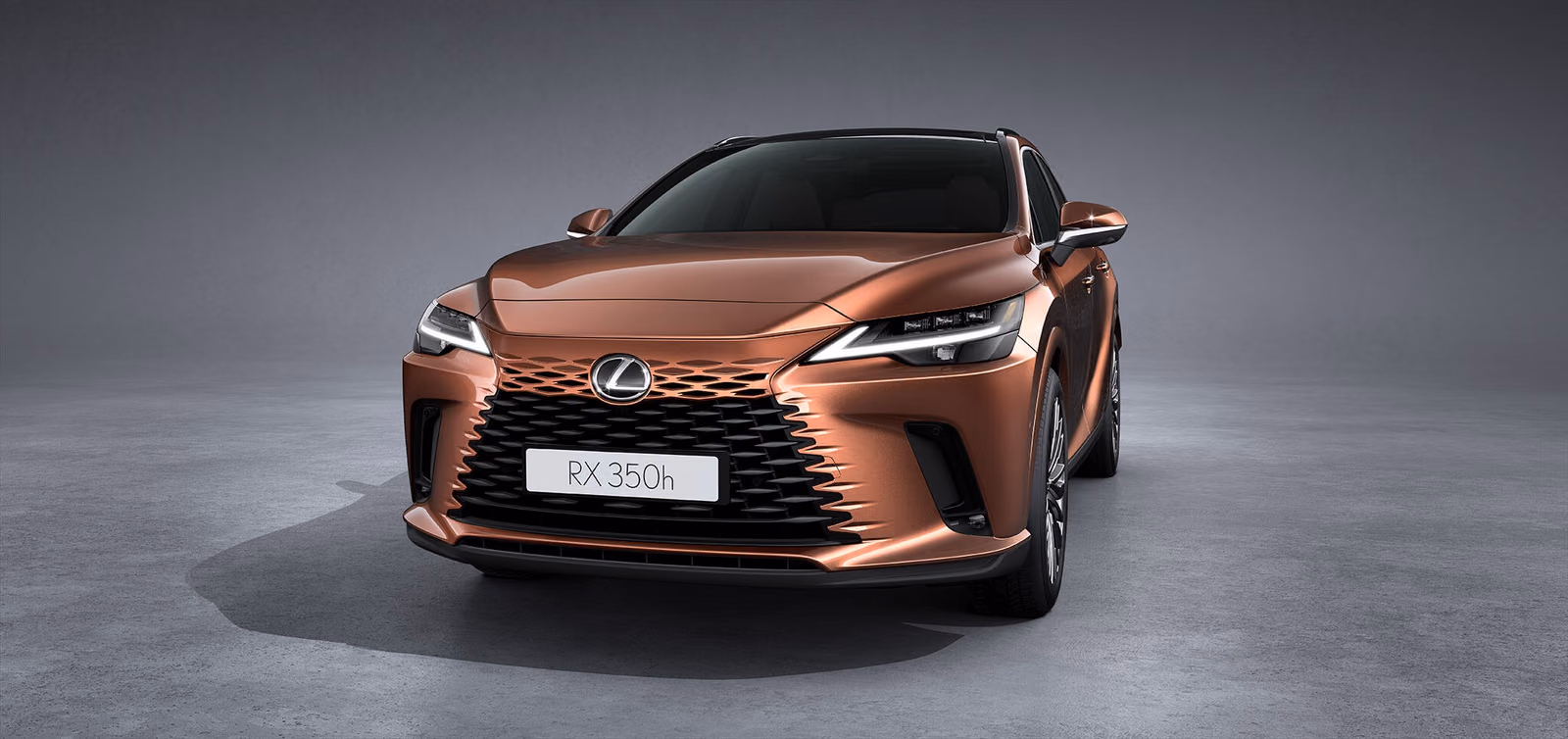 Lexus RX — в движении