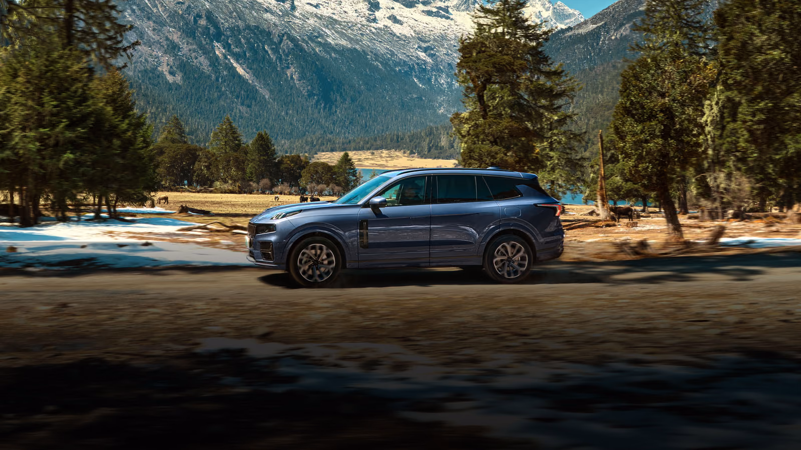 Lynk & Co 09 на лесной поляне