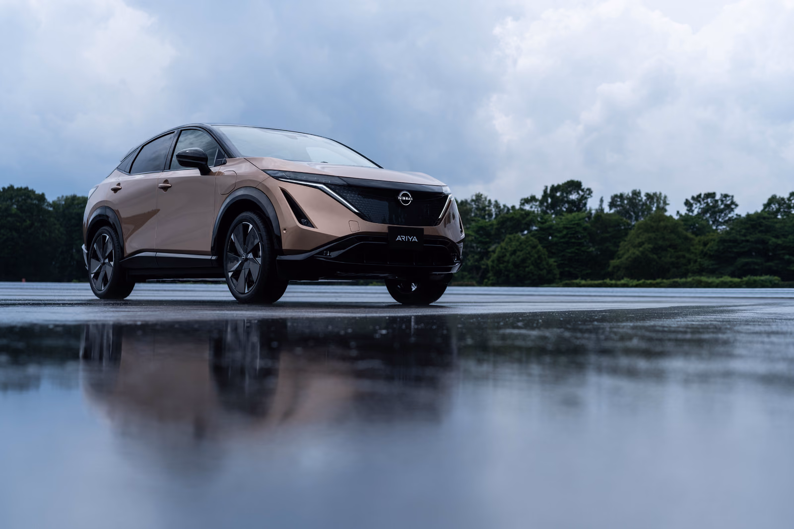 Nissan Ariya — вид сзади в три четверти