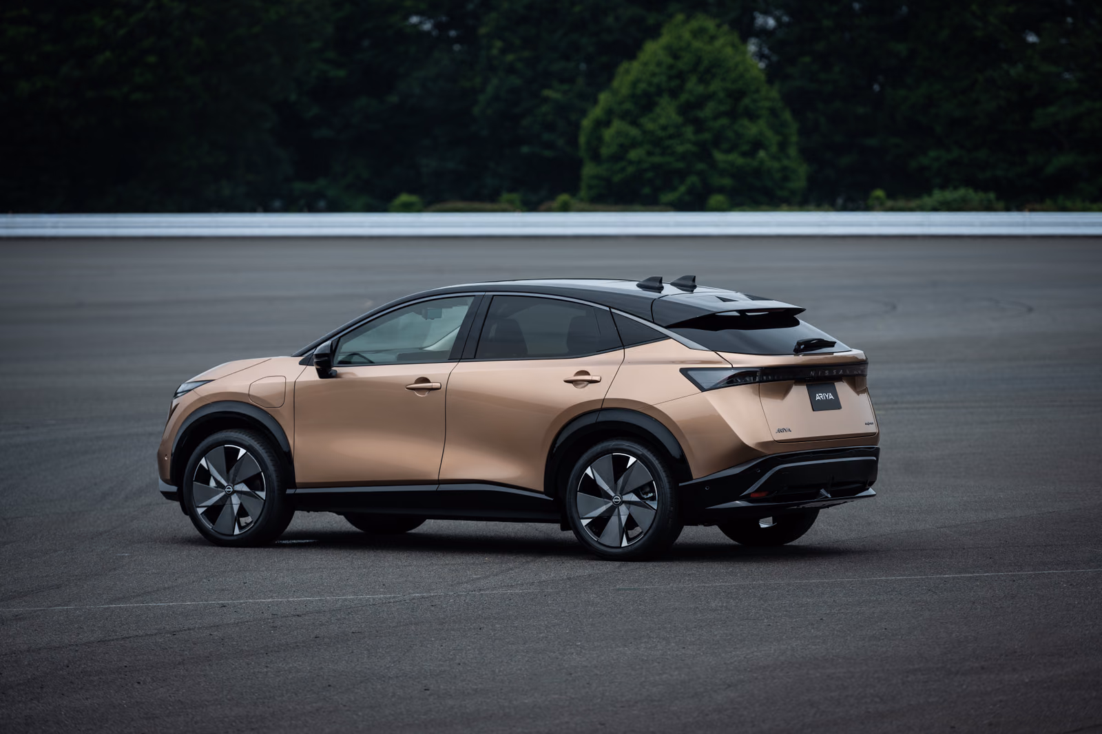 Nissan Ariya — вид сзади