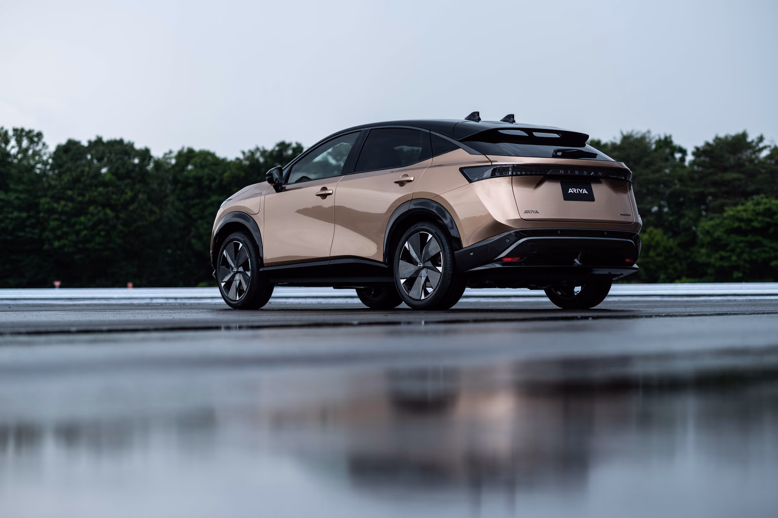 Nissan Ariya — в движении