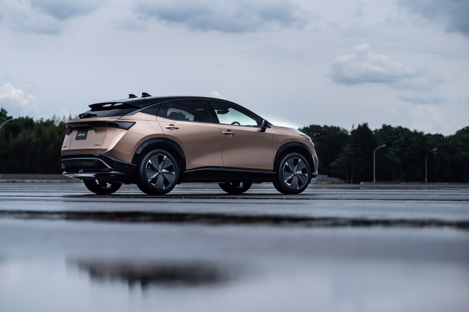 Nissan Ariya — на природе