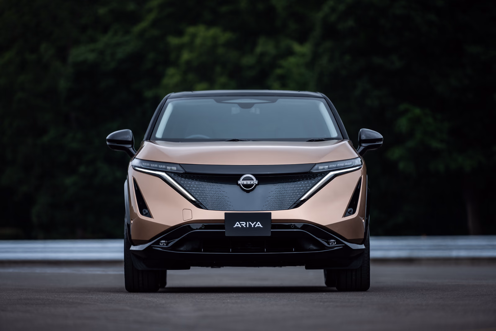 Nissan Ariya — крупный план кузова