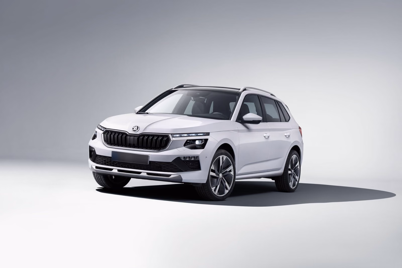 Skoda Kamiq — на природе