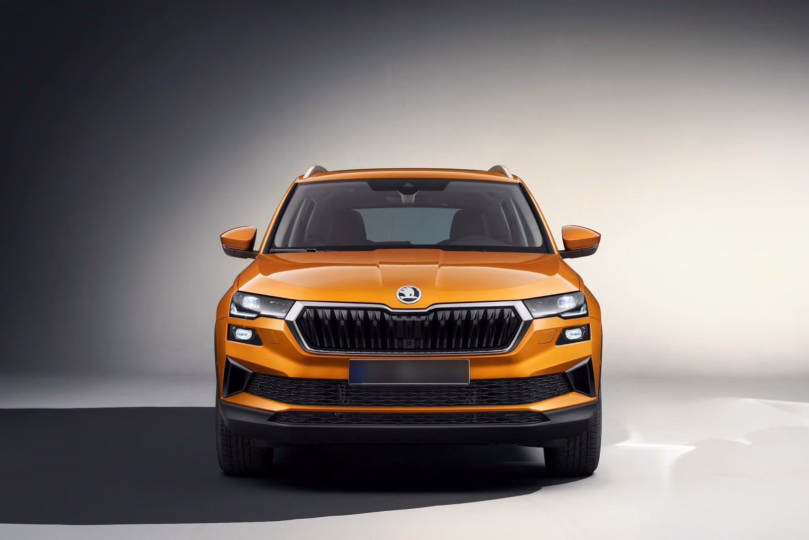 Skoda Karoq — вид сбоку