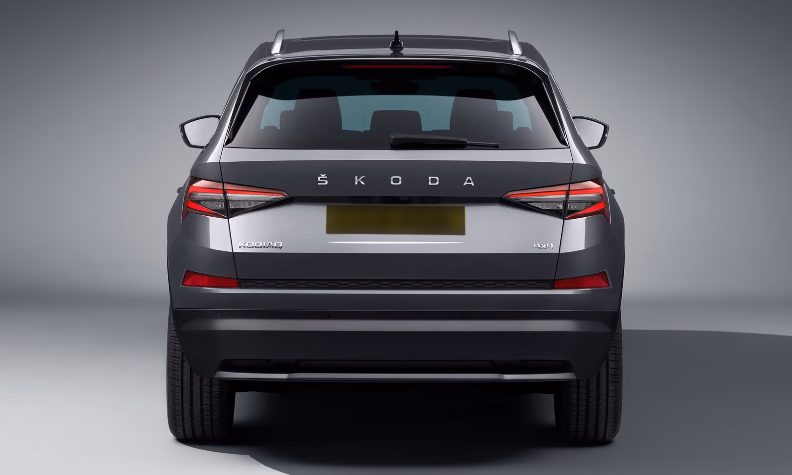 Škoda Kodiaq, вид строго сзади