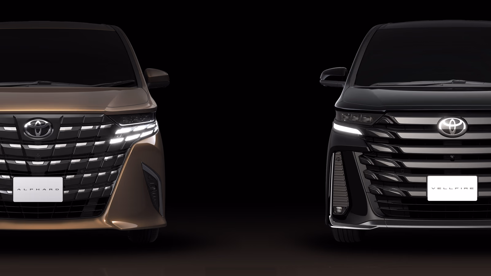 Toyota Alphard — в студии