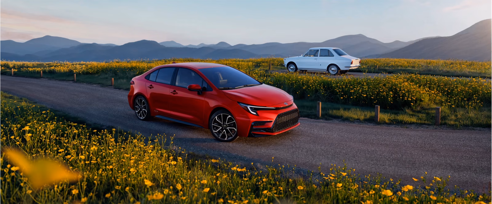 Toyota Corolla на дороге среди полей
