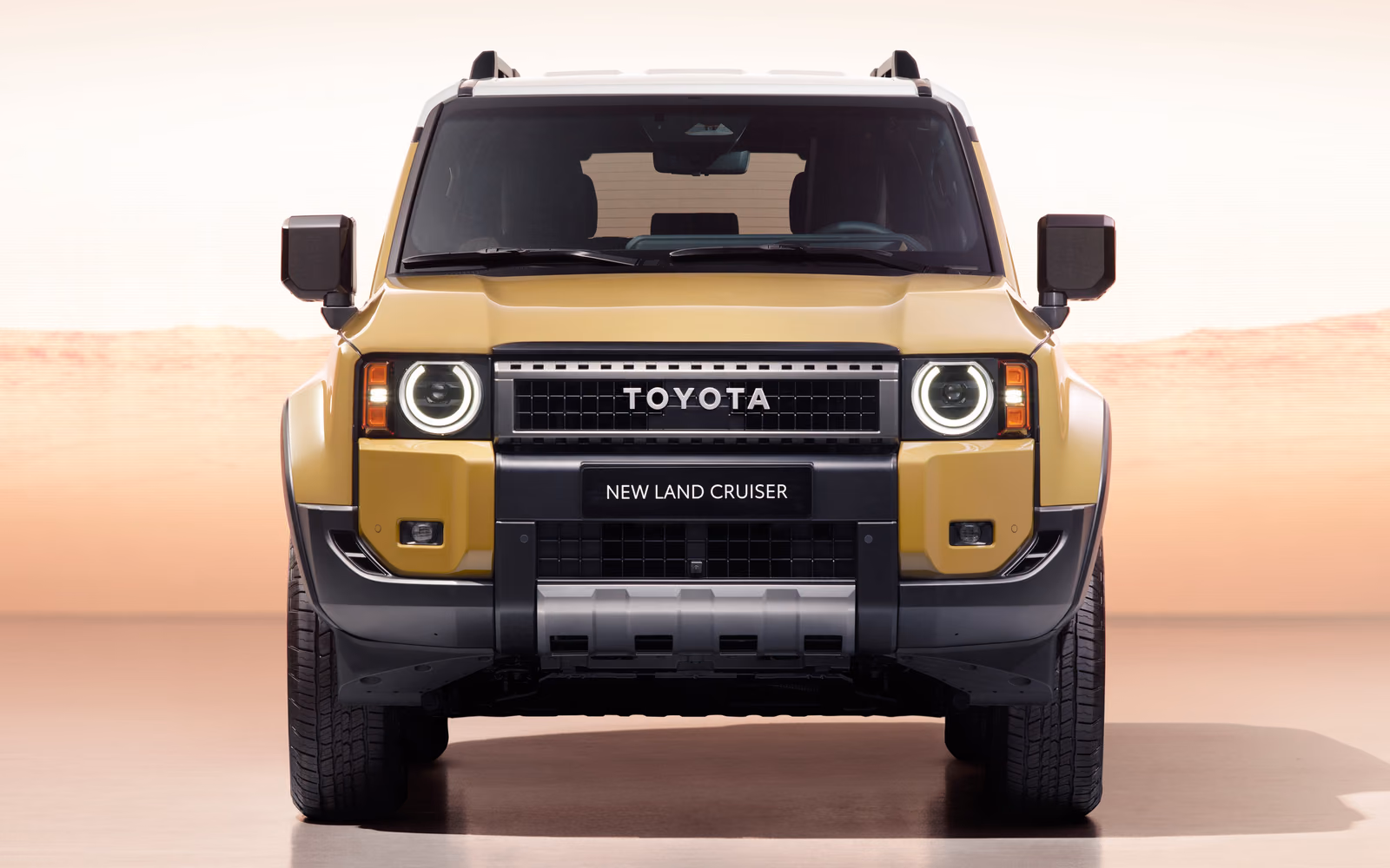 Toyota Land Cruiser Prado 250 — на природе
