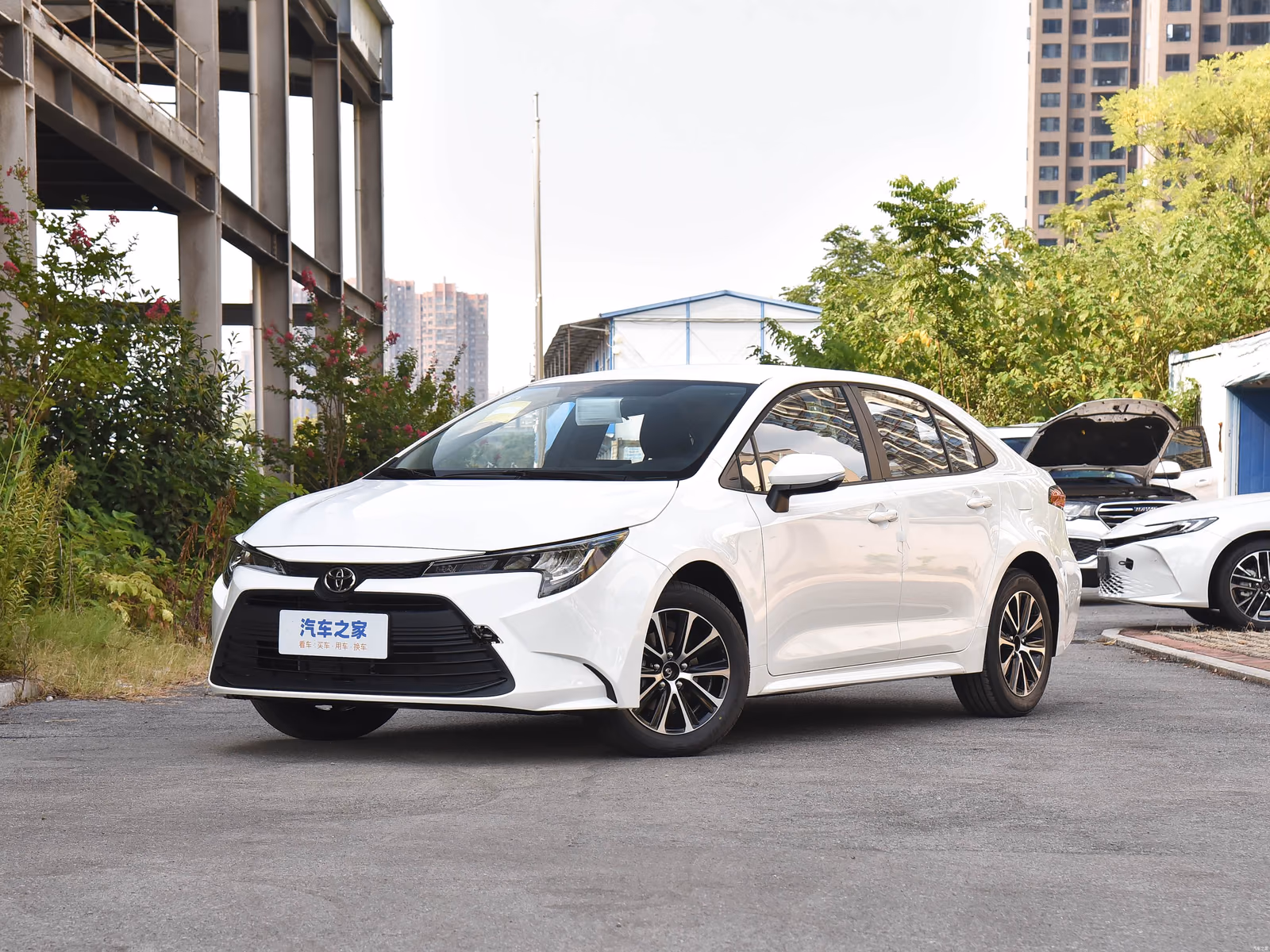 Toyota Levin — белый кузов спереди в три четверти