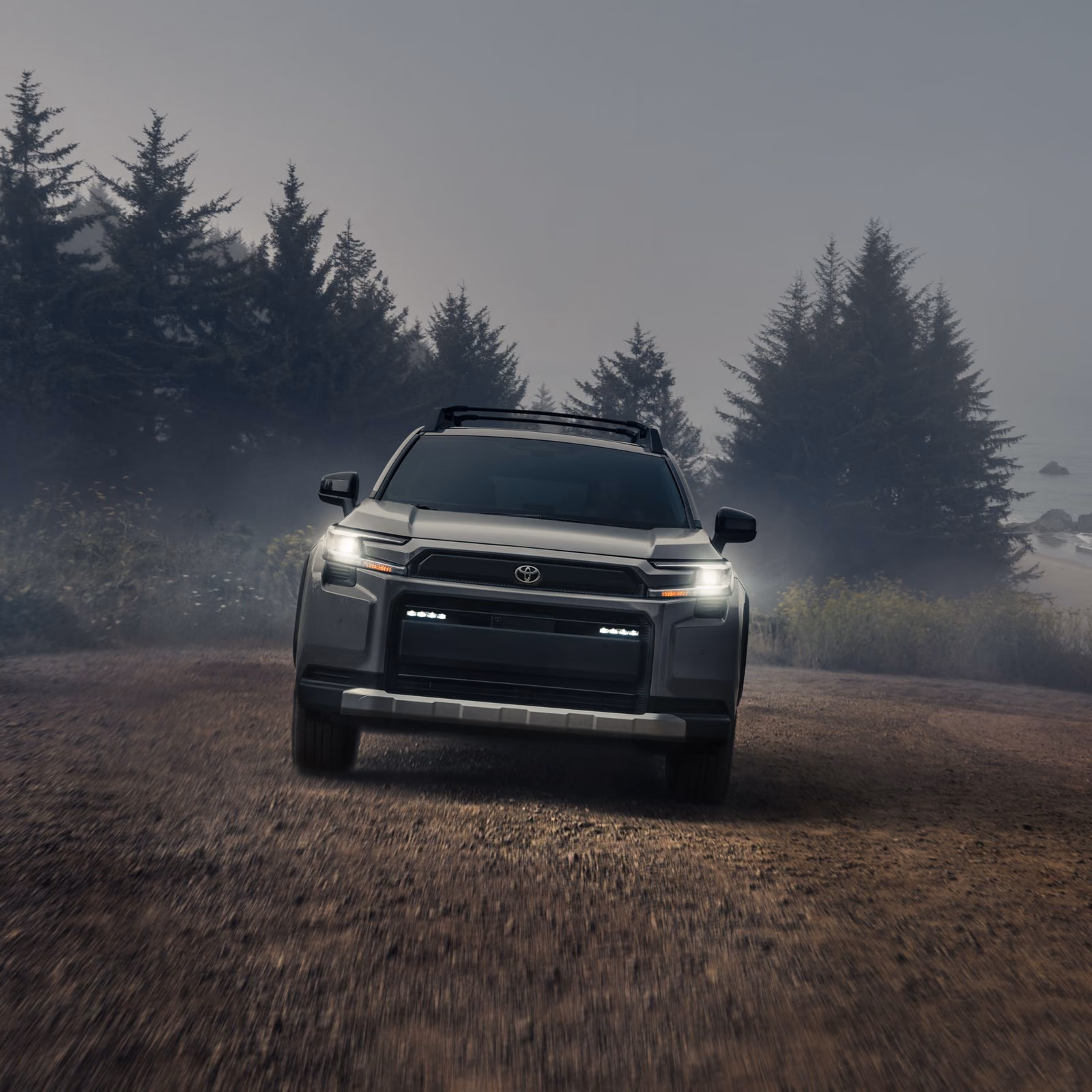 Toyota RAV4 в туманном лесу, вид спереди