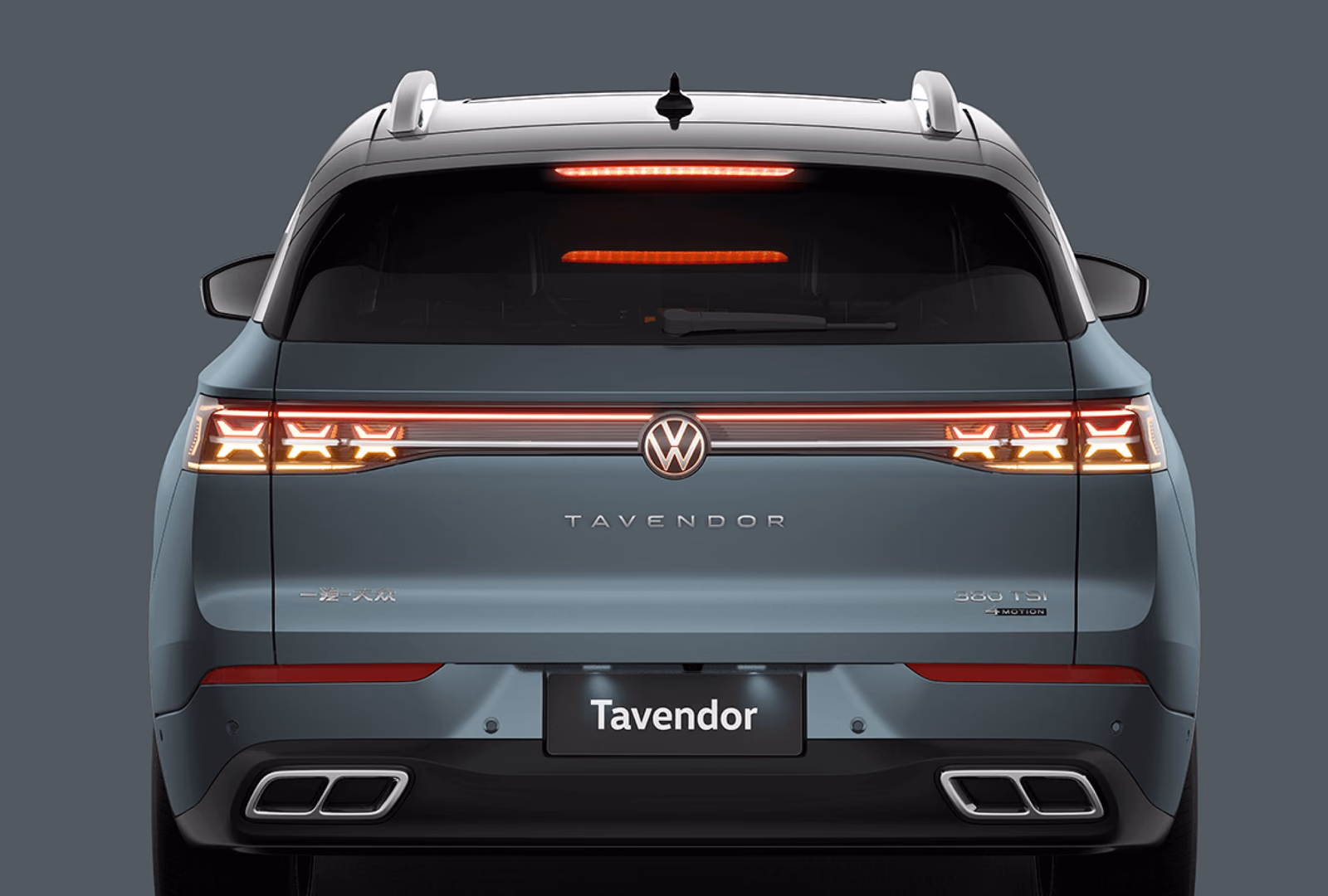Volkswagen Tavendor, вид строго сзади