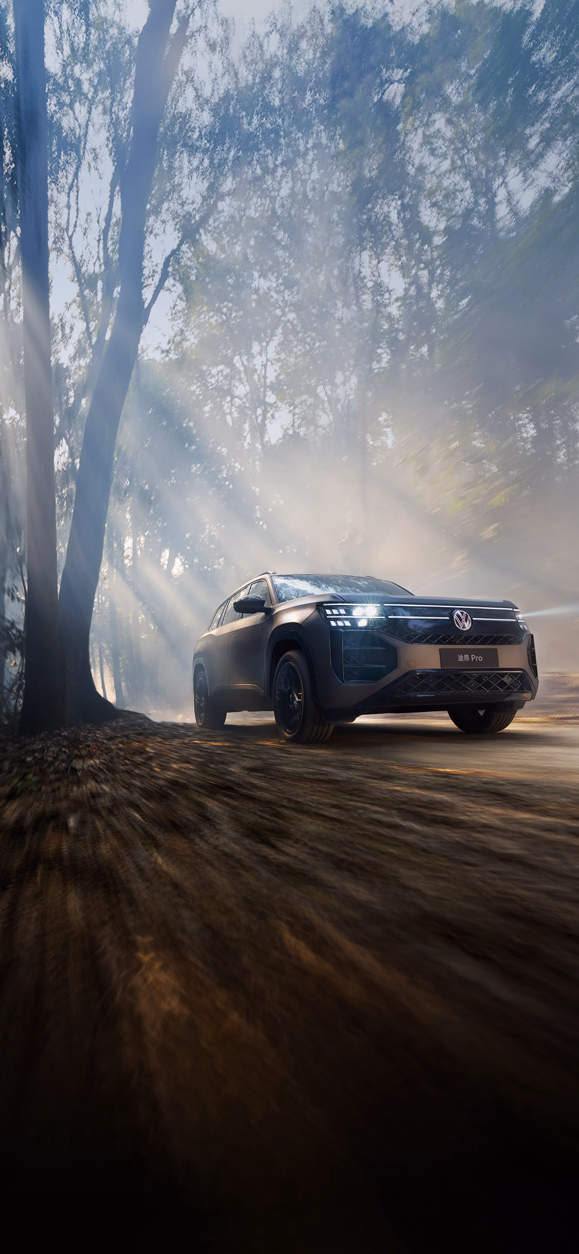 Volkswagen Teramont Pro на лесной дороге